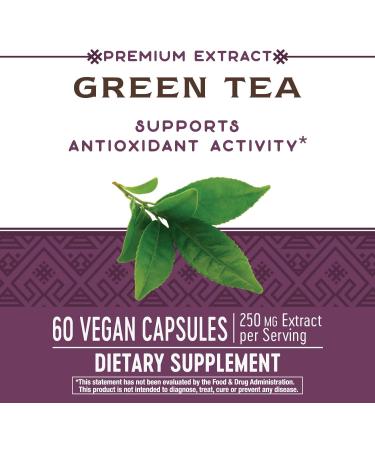 Nature's Way Green Tea Extract 95% Polyphenols (75% Catechins) - 60 Vcaps - Buy Online on GoSupps.com