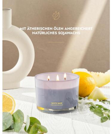 96North Luxury Candles | 3-Wick Sage Fragrance | 100% Natural Soy Wax | 40-Hour Burn Time | Perfect Wedding Gifts for Women - Buy Online on GoSupps.com