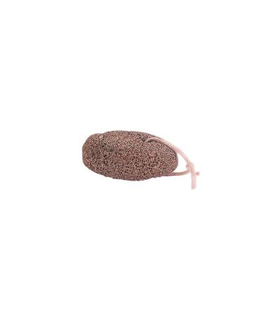 Bass Brushes Real Volcanic Rock For Use 1 EA