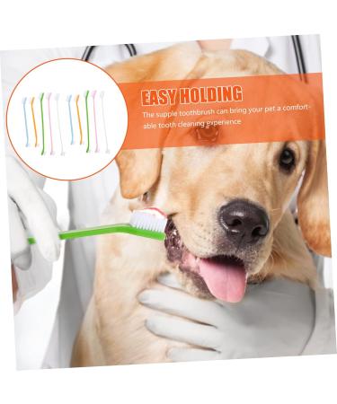 Toddmomy 30 pcs Clean Dual-head Brush Portable Supplies for Nylon Teeth Small Tooth Handheld Puppy 1 count (Pack of 1) Assorted Colorx3pcs - Buy Online on GoSupps.com