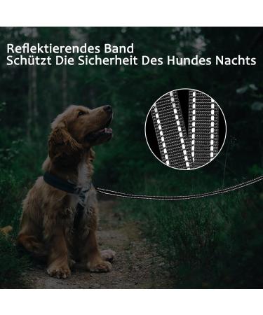 Demigreat Reflective Dog Training Leash - 3m to 20m Durable Lines with Padded Handle for All Dog Sizes - Buy Online on GoSupps.com