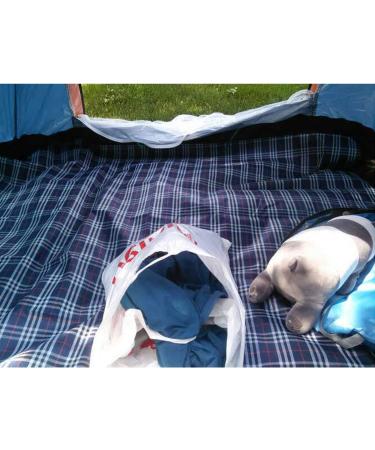 Wind Tour Family Outdoor Waterproof Durable Picnic Blankets with Carry Strap Foldable 5070.9 inch Sandproof Beach Mat for Kids Playground Camping Park Hiking Grass Travelling (1  Navy Blue) 1 Navy Blue - Buy Online on GoSupps.com