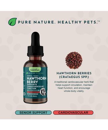 Animal Essentials Hawthorn Berry Supplement for Dogs & Cats - Heart Health Support Herbal Tincture for Pets Natural Liquid Extract for Circulation & Cardiovascular Support Organic Hawthorn- 1 fl oz - Buy Online on GoSupps.com