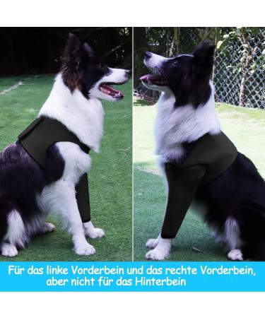 Dog Recovery Suit - Cone Collar Alternative Abrasion-Resistant Waterproof & Washable Prevents Licking & Wound Infection (Black M) - Buy Online on GoSupps.com