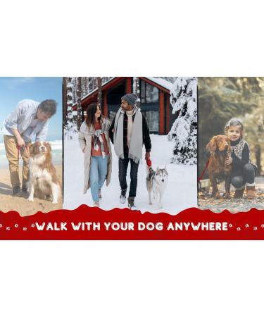 Loutep Long Towline Dog Leash - 3m 5m 10m 15m 20m | Strong Nylon with Padded Handle | Durable Red Leash for Training & Daily Walks - Buy Online on GoSupps.com