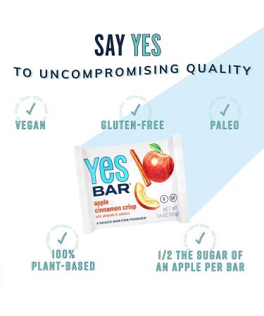 YES Bar Apple Cinnamon Crisp - Plant Based Protein Decadent Snack Bar (Pack of 6) - Vegan, Paleo, Gluten Free, Dairy Free, Low Sugar, Keto Friendly - Buy Online on GoSupps.com