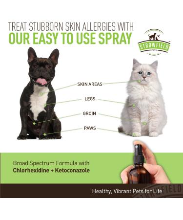 8 oz. Chlorhexidine Spray for Dogs & Cats with Ketoconazole & Aloe | Hot Spot & Skin Infection Treatment | Antifungal & Antibacterial Relief - Buy Online on GoSupps.com