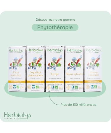 Phytotherapy Organic Saffron Extract - Buy Online on GoSupps.com