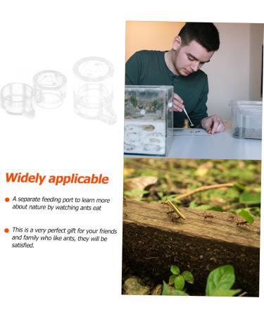 SEWOART 2pcs Ant Water Feeder Ants Ant Nest Water Feeder Ant Liquid Feeder Pet Waterer Transparent Acrylic - Buy Online on GoSupps.com