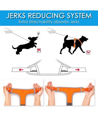 ThinkPet No-Pull Dog Harness & Leash Set - Breathable Adjustable Reflective Safety Harness for Small Medium & Large Dogs - XL (1 Pack) - Buy Online on GoSupps.com