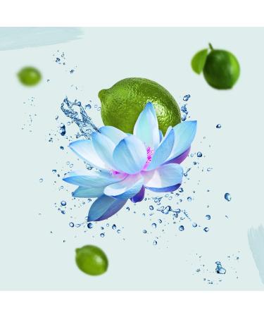 Coral Liquid Detergent Water Lily & Lime | Long-Lasting Fragrance | Colorful Laundry | 1.15L Pack - Buy Online on GoSupps.com