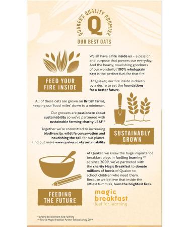 Quaker Oats So simple Golden Syrup Sachets (6 x 36g) - 2 Pack | 100% Wholegrain Golden Syrup Flavour Ready In 2 Mins Helps Lower Cholesterol. - Buy Online on GoSupps.com