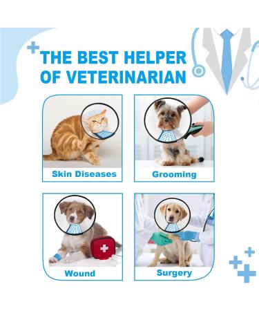 Super Collar for Pets | Protective Neck Collar for Cats & Small Dogs XXL | White Plastic Design - Buy Online on GoSupps.com