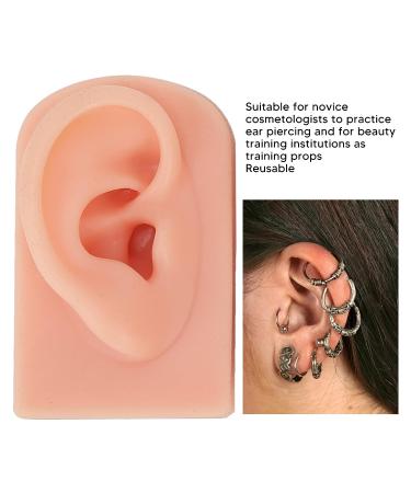 3Pcs Silicone Right Ear Model Set for Piercings Practice - 3 Colors, Easy to Use, Reusable with Stand - Buy Online on GoSupps.com