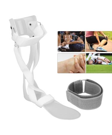 Buy ZJchao Foot Drop Brace Support - Adjustable Ankle Orthosis for Men & Women - Breathable Walking Aid for Plantar Muscles - Right Foot M - Buy Online on GoSupps.com