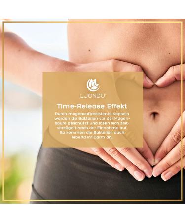 Cultures Complex - 350 Billion KBE/g 20 Strains & Organic Acacia Fiber - Vegan Gastrointestinal Support - 180 Capsules - Buy Online on GoSupps.com