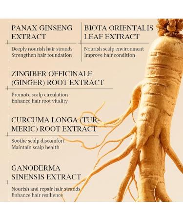 Shampooing de coloration naturelle au ginseng - 450 ml - Avec extrait de ginseng - Doux pour le cuir chevelu - Colorant et nourrissant - Facile utiliser (noir) - Buy Online on GoSupps.com