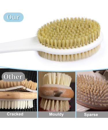 Horjor Long Handle Back Scrubber Brush - Exfoliating Bath Brush for Men and Women - Buy Online on GoSupps.com