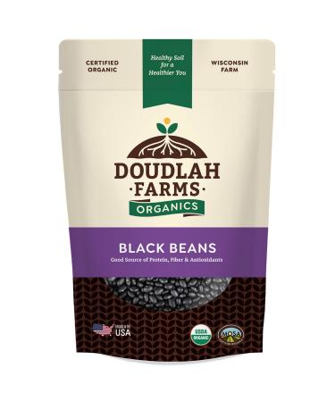 Organic Dried Black Beans 1lb Bulk by Doudlah Farms - Farmed From Regenerative Soil | Vegan, Non-GMO, Grown In USA | Fiber & Protein for Soups, Burritos, Salads, and More! 1 Pound (Pack of 1)