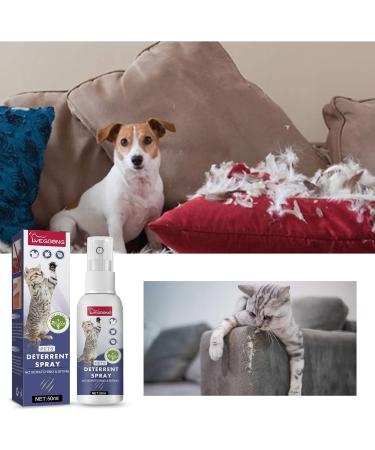 Routinfly Cat Spray - Bitter Training Aid for Scratch-Resistant Furniture Protection | 50 ml | Halloween Ornaments - International Shipping Available - Buy Online on GoSupps.com