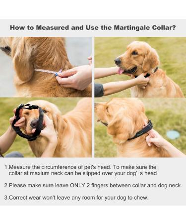 Durable Martingale Dog Collar - Adjustable No Escape Nylon for Medium Dogs (1in x 14-21in) - Black - Buy Online on GoSupps.com