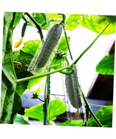 BESPORTBLE 4 pcs Shaping Fruit Square Star Shaped Tool Heart Cucumber Flower Styling Vegetable Shapers Forming - Buy Online on GoSupps.com