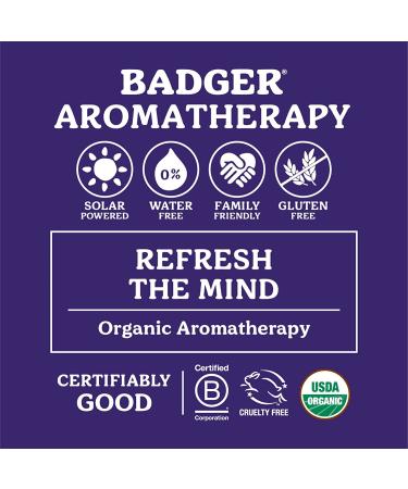 Badger Organic Headache Soother - Peppermint & Lavender 0.60 oz | Natural Relief - Buy Online on GoSupps.com