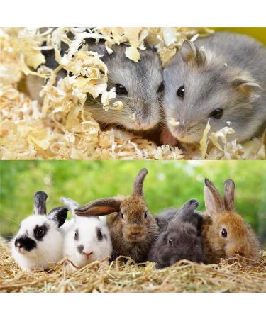 PremiumSpan Small Animal Litter - 60L Wood Shavings for Pets | 3.5kg | International Shipping - Buy Online on GoSupps.com