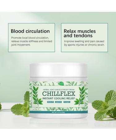 Zgxhga CHILLFLEX Menthol Soothing Cream Cooling Soothing Ointment for Joint Activities Muscle Relief Head Lumbar Neck Hands & Feet 3.5oz - Buy Online on GoSupps.com