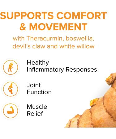 Natural Factors CurcuminRich Joint Curcumizer - 60 Vegetarian Capsules for Joint Support - Buy Online on GoSupps.com