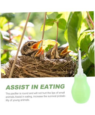 ibasenice Baby Accessories 1pc Pigeon Rehydration Device Ml Dropper for Liquids Baby Feeding Tools Cat Feeder Bird Weaning Tool Squab Weaning Feeder Pet Bird Weaner Pigeon Weaner Food Green 10x3cm - Buy Online on GoSupps.com