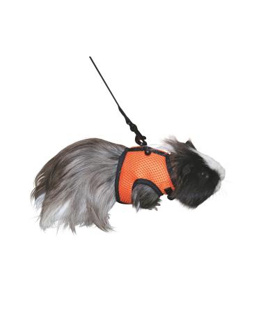 Kerbl guinea pig harness with flexible leash 120cm 22-30 cm / 14-18 cm - Buy Online on GoSupps.com