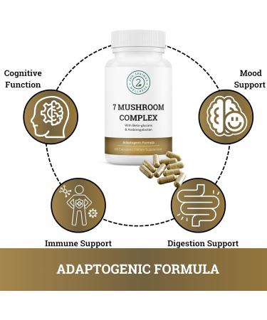 2nd Springs Complete Men's Wellness Trio - Mushrooms Multivitamins and Adaptogens - Buy Online on GoSupps.com