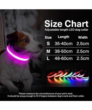 Luminous USB-C LED Dog Collar - Waterproof Adjustable Light with 7 Colors for Small & Medium Dogs (48-60cm) | Lila - Buy Online on GoSupps.com