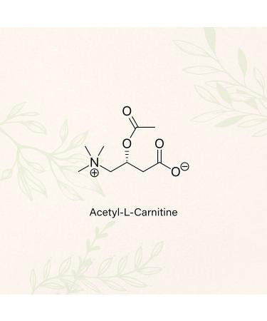 Wild Organic Acetyl L-Carnitine Gummies - 1500mg ALCAR for Energy, Metabolism & Immune Support - 60 Chews - Buy Online on GoSupps.com