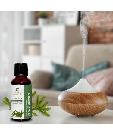 Fir Douglas Needle Oil (Pseudotsuga Menziesii) Essential Oil 100% Pure Natural Undiluted Uncut Therapeutic Grade Oil 1.69 Fl.OZ 50ML (1.69 Fl.OZ) - Buy Online on GoSupps.com