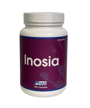 Inosia All Natural Fertility Supplement for Women with Myo-inositol D-Chiro-inositol Vitex Chromium Picolinate and N-acetyl-l-cysteine (120 Pills - 1 Month Supply)