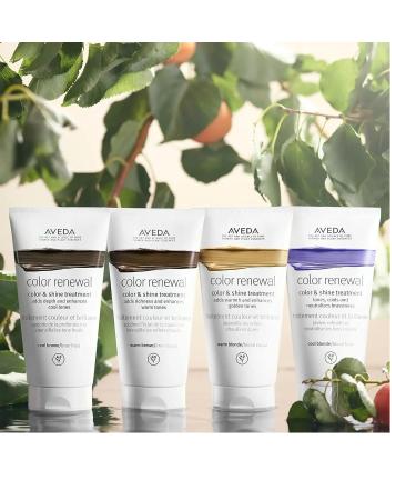 AVEDA Color Renewal Cool Brown 5oz/150ml Hair Masque - Color & Shine Treatment - Buy Online on GoSupps.com