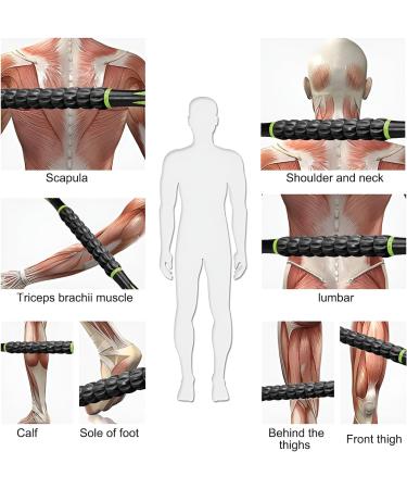 Therapeutic Anti-Cellulite Massager Scooter - Improve Mobility & Circulation | Fitness & Injury Prevention - Black & Green - Buy Online on GoSupps.com