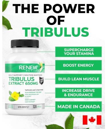 Renew Actives Tribulus Terrestris Supplement Natural Ayurvedic Aphrodisiac for Men s Vitality Energy and Overall Well-Being Promotes Hormonal Balance and Good Health 60 Capsules (2packs) 120 count (Pack of 2) - Buy Online on GoSupps.com