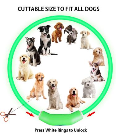 NOVKIN 2-Pack LED Dog Collar Set - Rechargeable Light Up Safety Necklace for Small, Medium, Large Dogs - Blue&Green - Buy Online on GoSupps.com