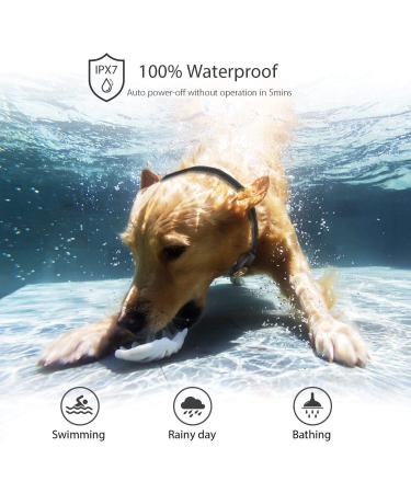 Patpet Rechargeable Dog Training Collar - 1000Ft Remote Range - 3 Training Modes - Black - Buy Online on GoSupps.com