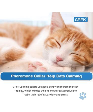 CPFK Cat Calming Collar 3 Pack - Pheromone Stress Relief for Cats and Kittens - Calm Anxiety and Promote Relaxation - Breakaway Design - Gray - Buy Online on GoSupps.com