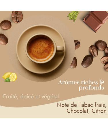 Caf Bonnac Caf En Grain Inde Plantation 500gr | 100% Arabica D altitude | Notes De C dre pices Douces Et Chocolat Noir | Torr faction Artisanale Fran aise | Id al Machine Caf Grain 1 500 g (Lot de 1) - Buy Online on GoSupps.com