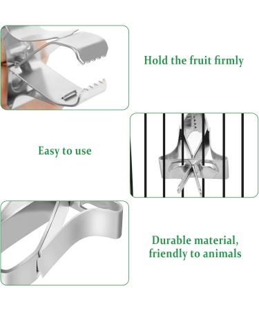 Parrots Fruit & Vegetable Feeder Clip - 5-Pack Metal Bird Cage Accessories for Sittiche & Nymphensittiche - Buy Online on GoSupps.com
