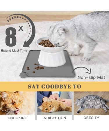 Frewinky Ceramic Slow Feeder Cat Bowl for Cats and Small Dogs - Elevated Food Bowl and Mat - Buy Online on GoSupps.com