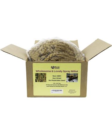 Birds LOVE Spray Millet 2lb - Wholesome and Nutritious Treat for Birds - Buy Online on GoSupps.com