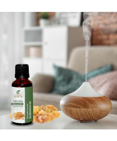 Olibanum Oil 5 ML (0.16 Fl.Oz) | 100% Pure Natural Undiluted Uncut Therapeutic Grade Boswellia Serrata Essential Oil OLIBANUM OIL 5ML (0.16 Fl.OZ) - Buy Online on GoSupps.com
