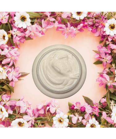Lavender Lilac Body Cream - Hydrating Natural Moisturizer for Body - 8oz - Buy Online on GoSupps.com