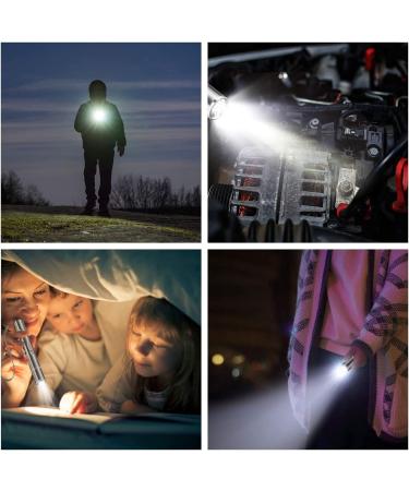 Laser Pointer Cat Toy - Interactive Red Dot Clicker for Indoor Cats and Dogs - Long Range Outdoor Chaser Teaser Stick - USB Rechargeable - Bright LED Light - Training Tool - Buy Online on GoSupps.com